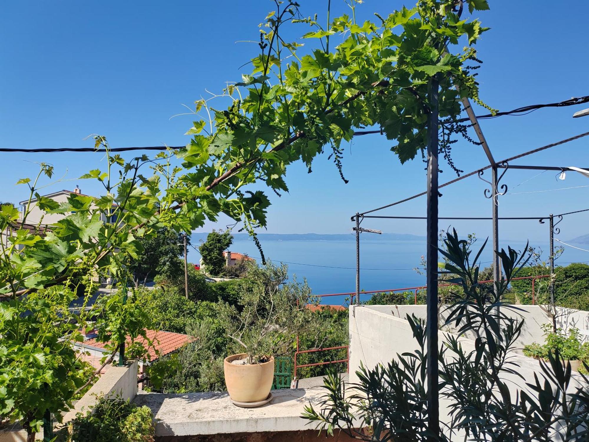 Appartamento Mala Cele Podgora Camera foto